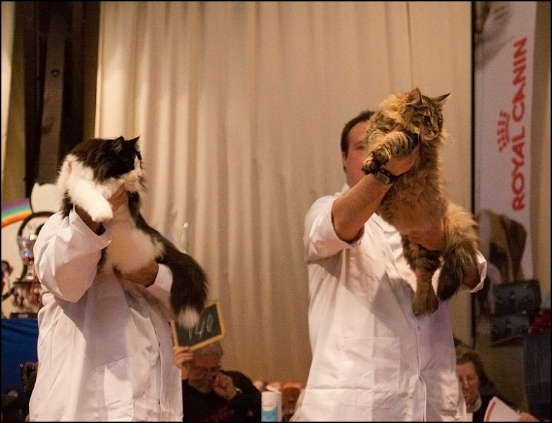 Podium 1.jpg - Ellboy du Soleil de Minuit